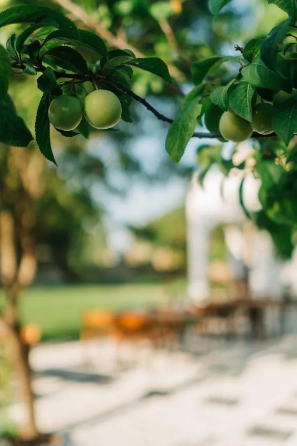 Bed & Breakfast Riserva Urla Turkije